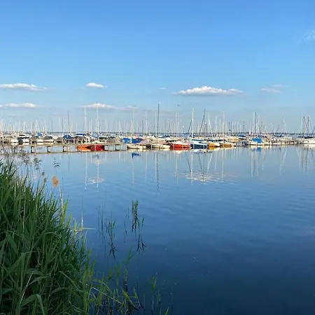 Gro-holiday Comfortable *