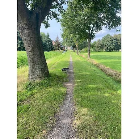 Gro-holiday Comfortable 度假居