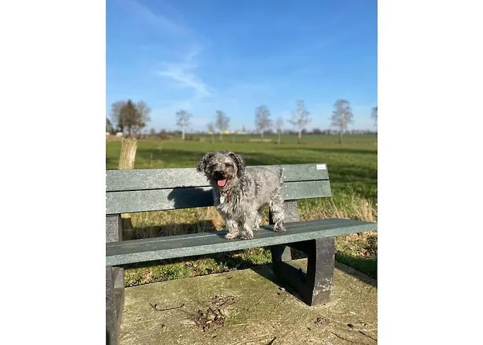 Gro-holiday Comfortable *